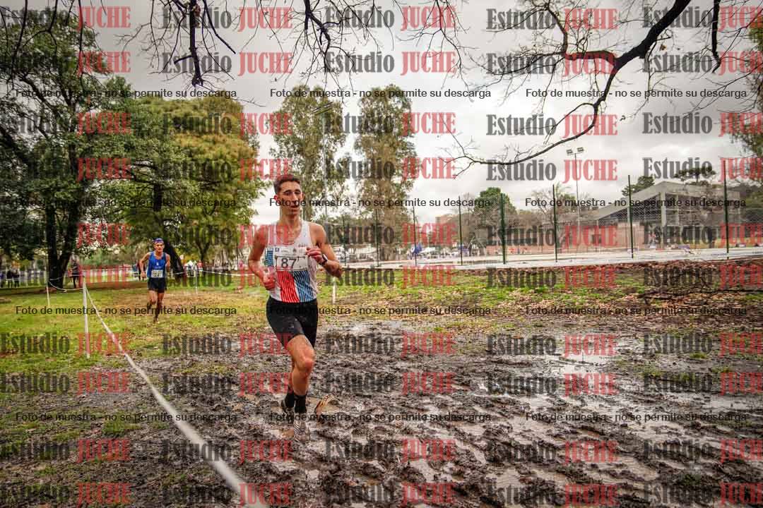 Fotos en el circuito