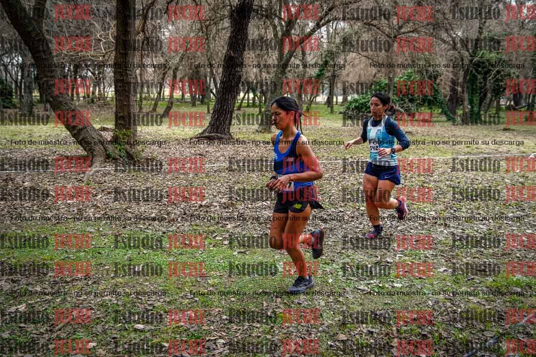 Fotos en el circuito