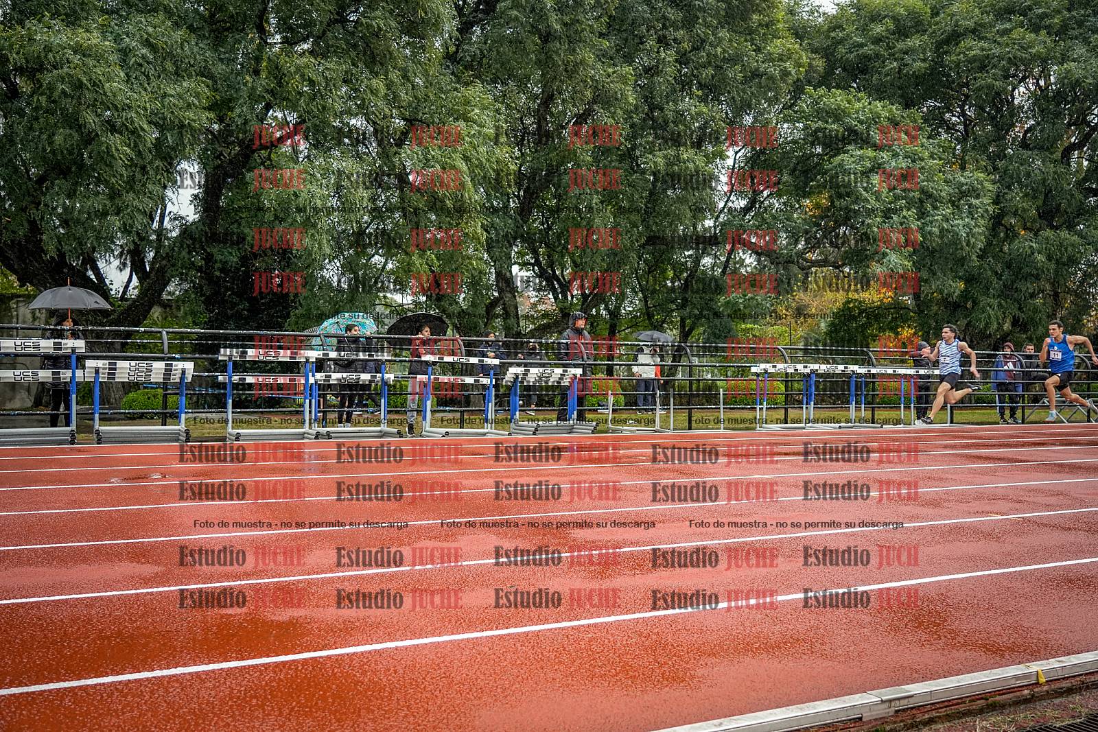 Fotos de los 100 m llanos de varones - FINAL