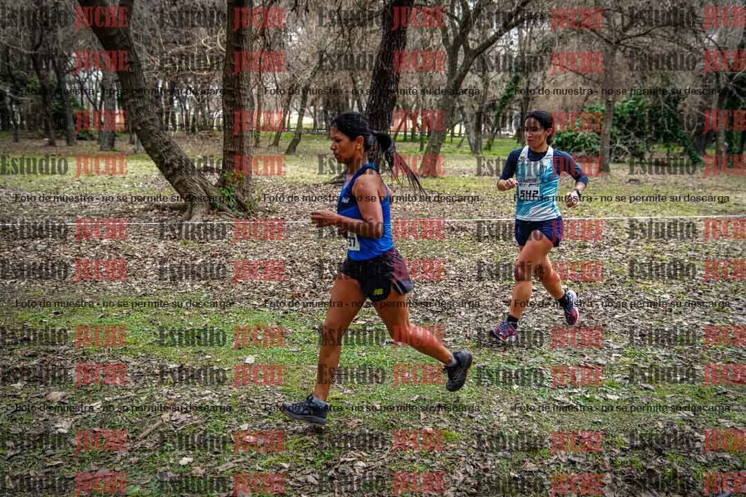 Fotos en el circuito