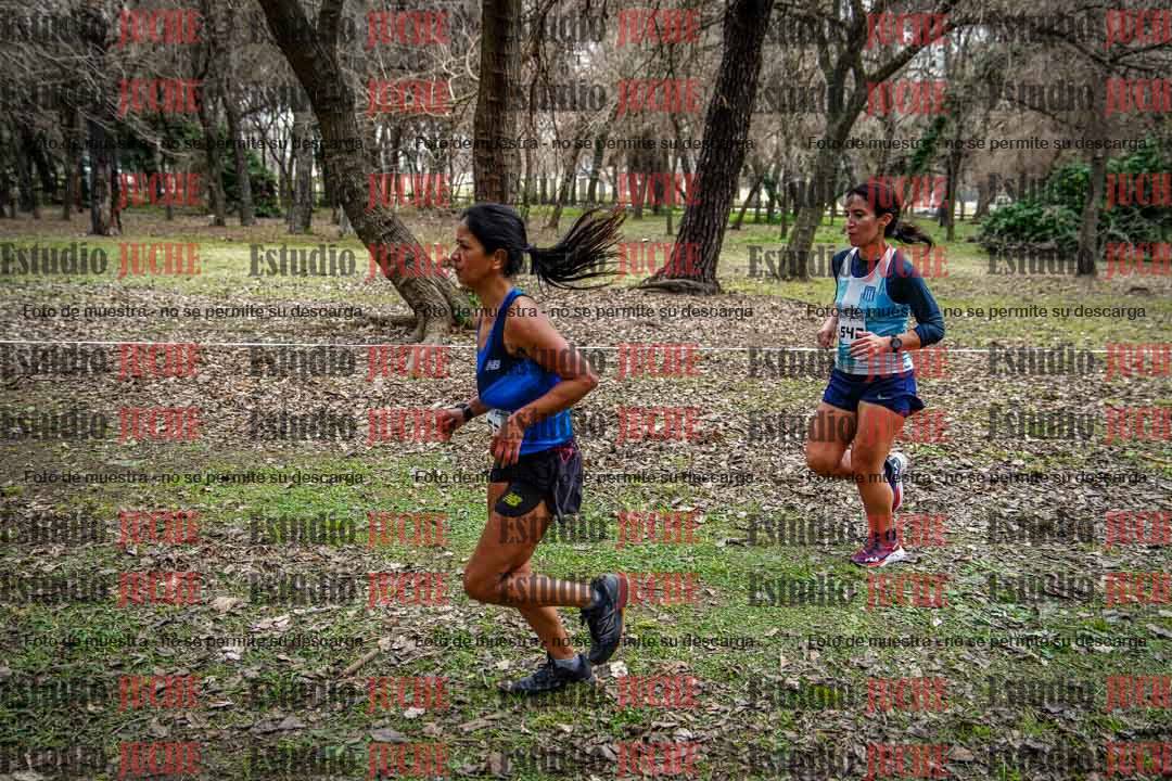 Fotos en el circuito