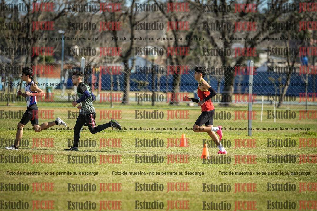 Fotos en de la largada