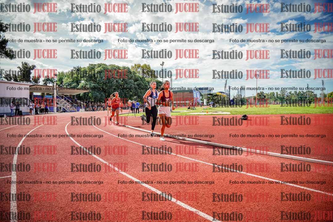 Fotos de los 800 m llanos de mujeres
