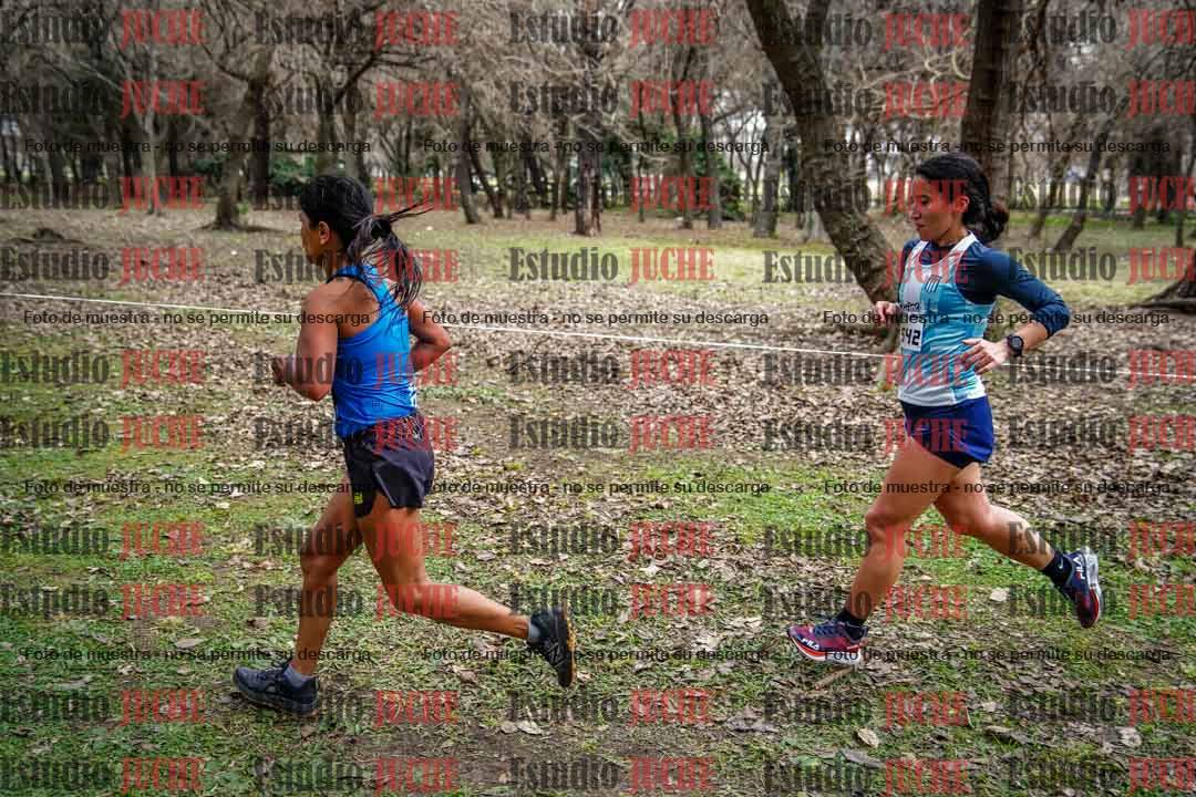 Fotos en el circuito