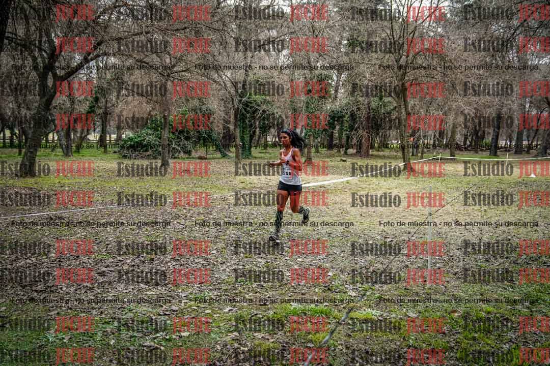 Fotos en el circuito