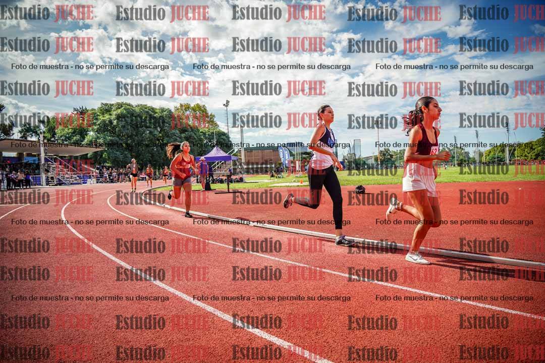 Fotos de los 800 m llanos de mujeres