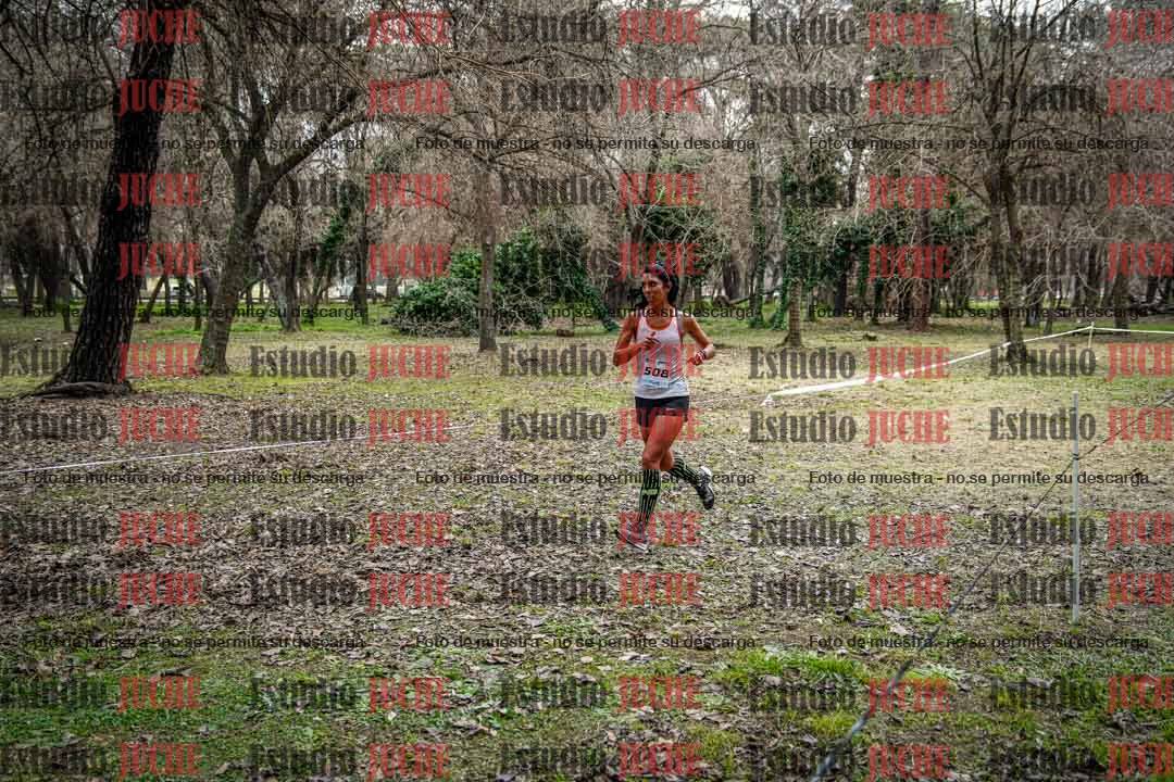 Fotos en el circuito