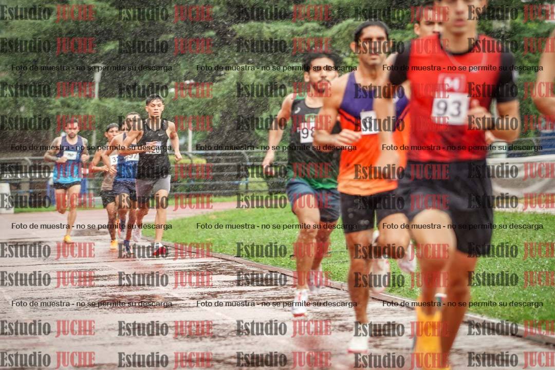 Fotos de los 800 m de varones