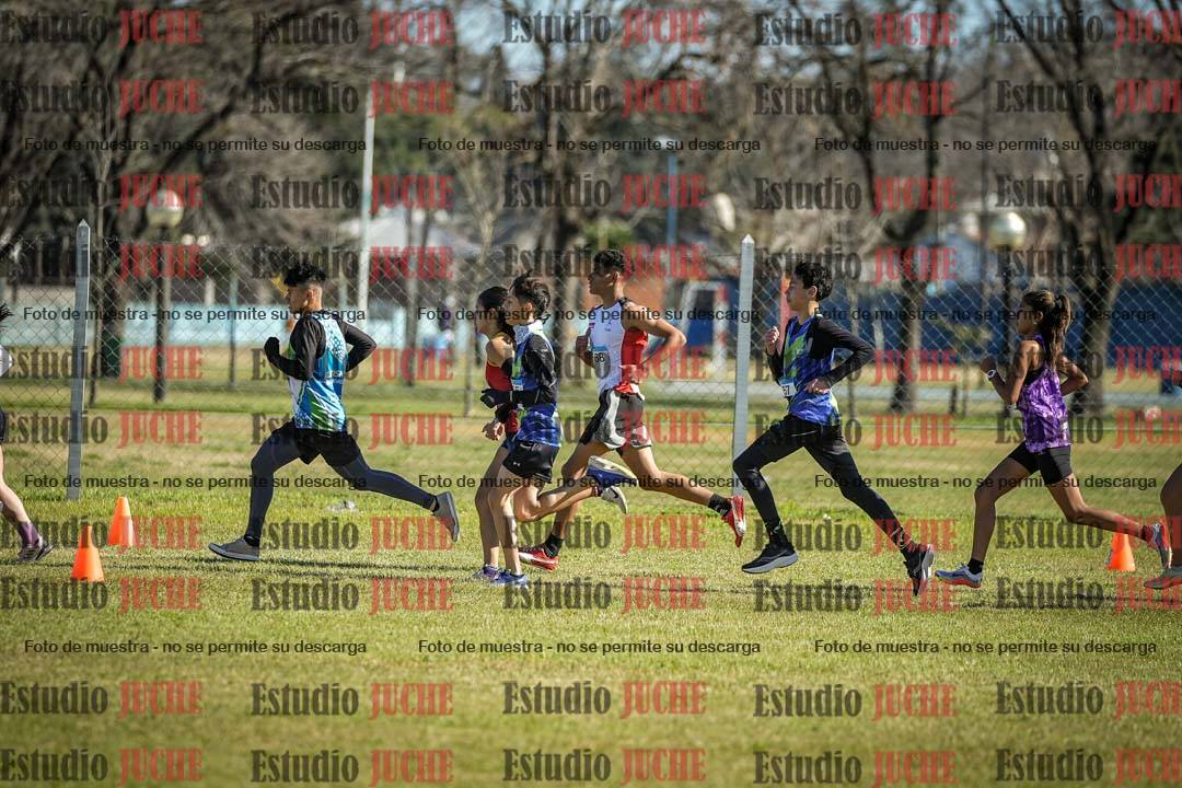 Fotos en de la largada