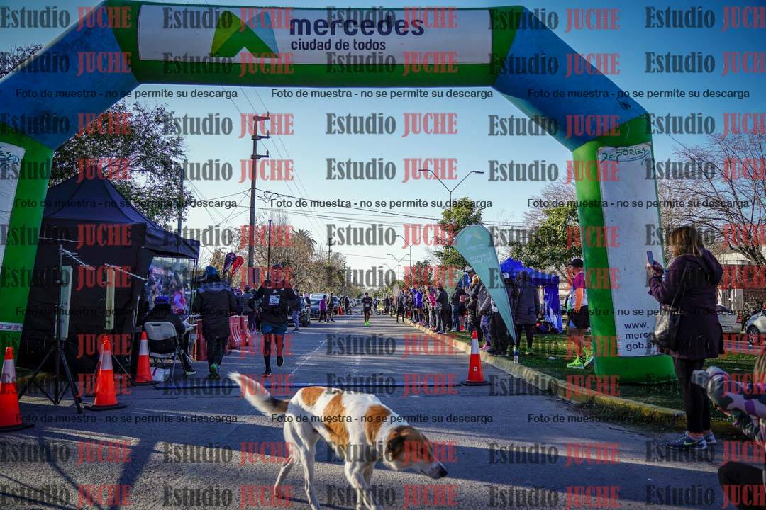 Fotos de las llegadas