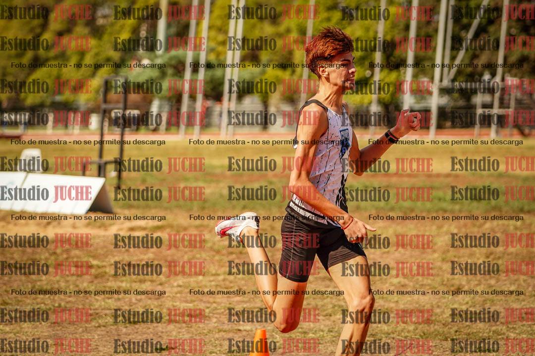Fotos de los 800 m llanos de varones