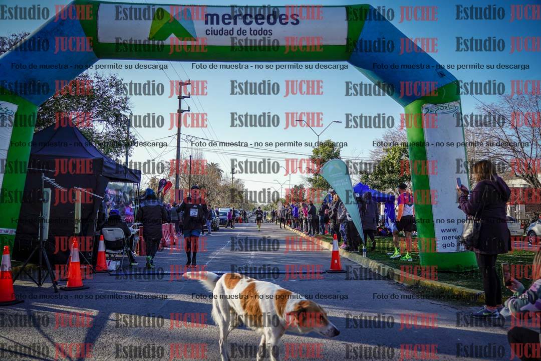 Fotos de las llegadas
