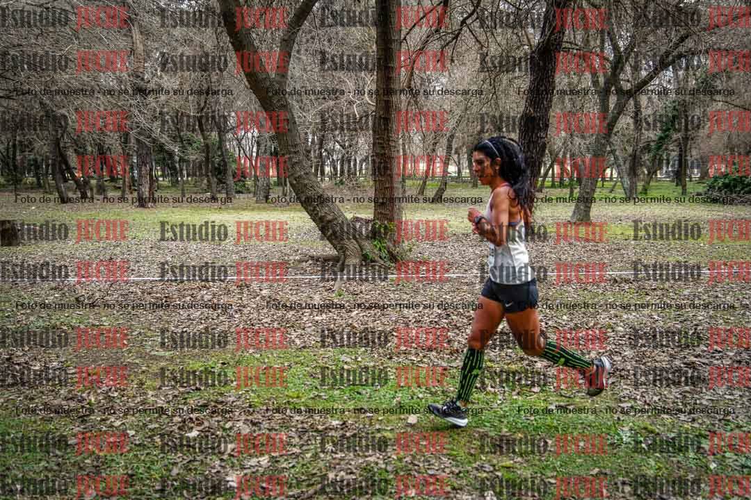 Fotos en el circuito