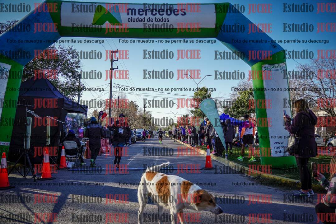 Fotos de las llegadas