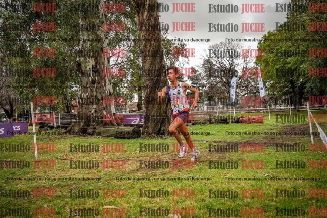 Fotos en el circuito