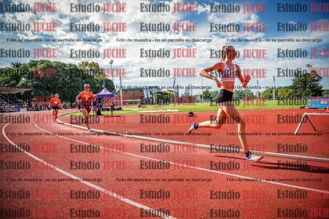 Fotos de los 800 m llanos de mujeres