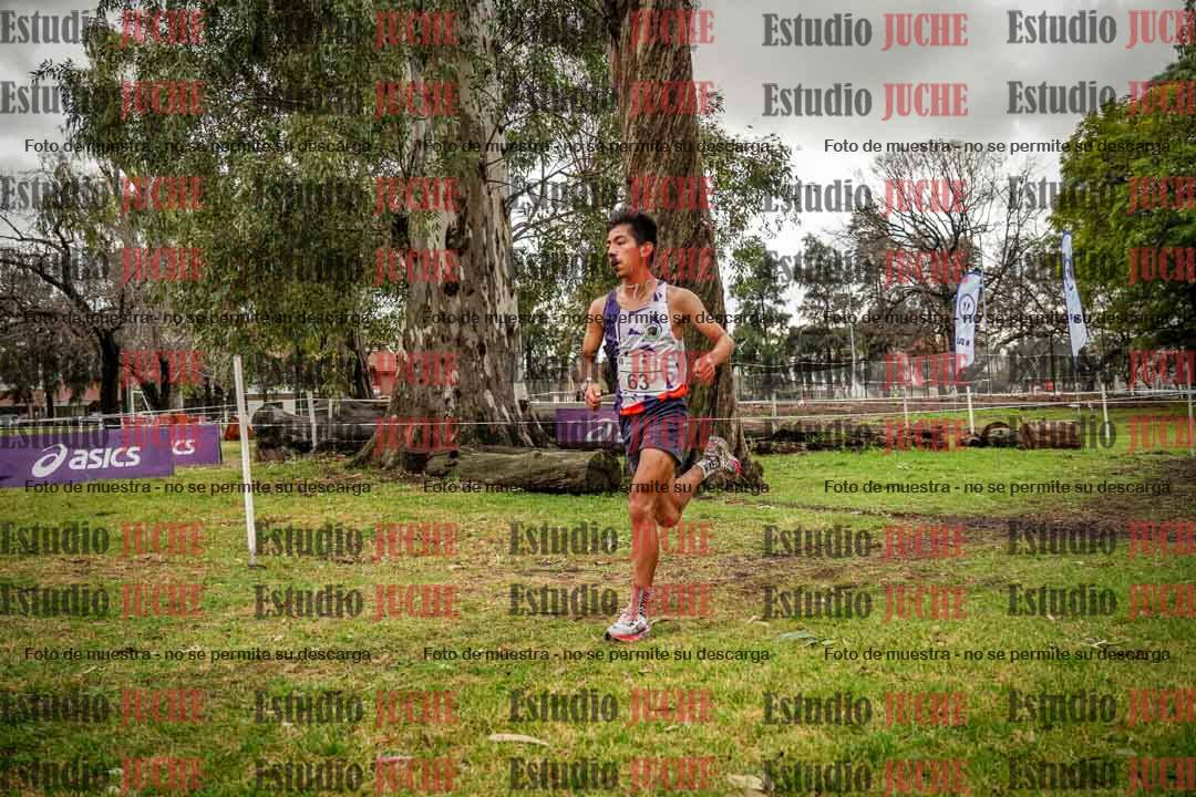 Fotos en el circuito