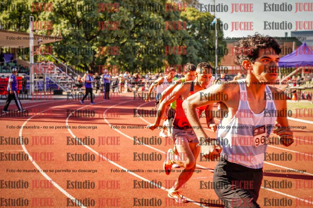 Fotos de los 800 m llanos de varones