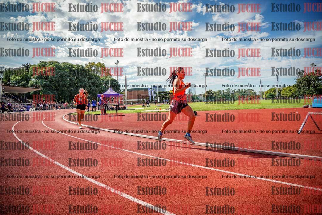 Fotos de los 800 m llanos de mujeres