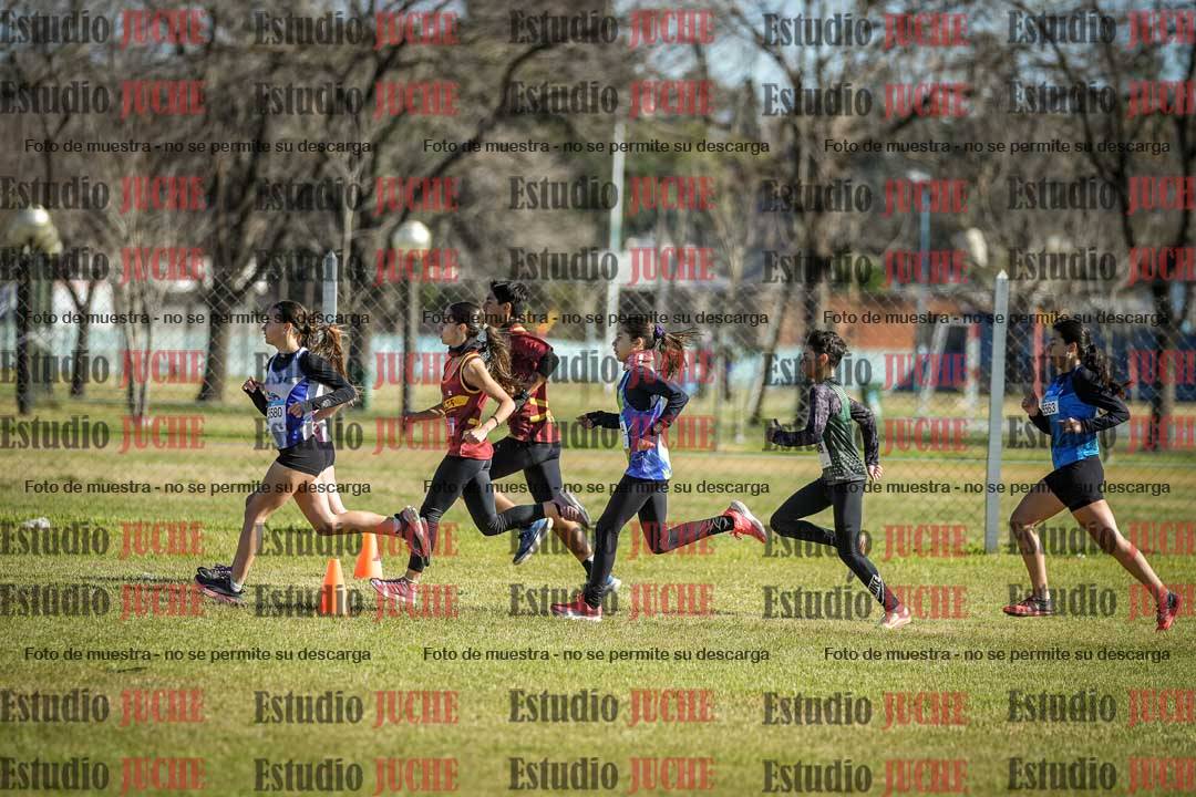 Fotos en de la largada