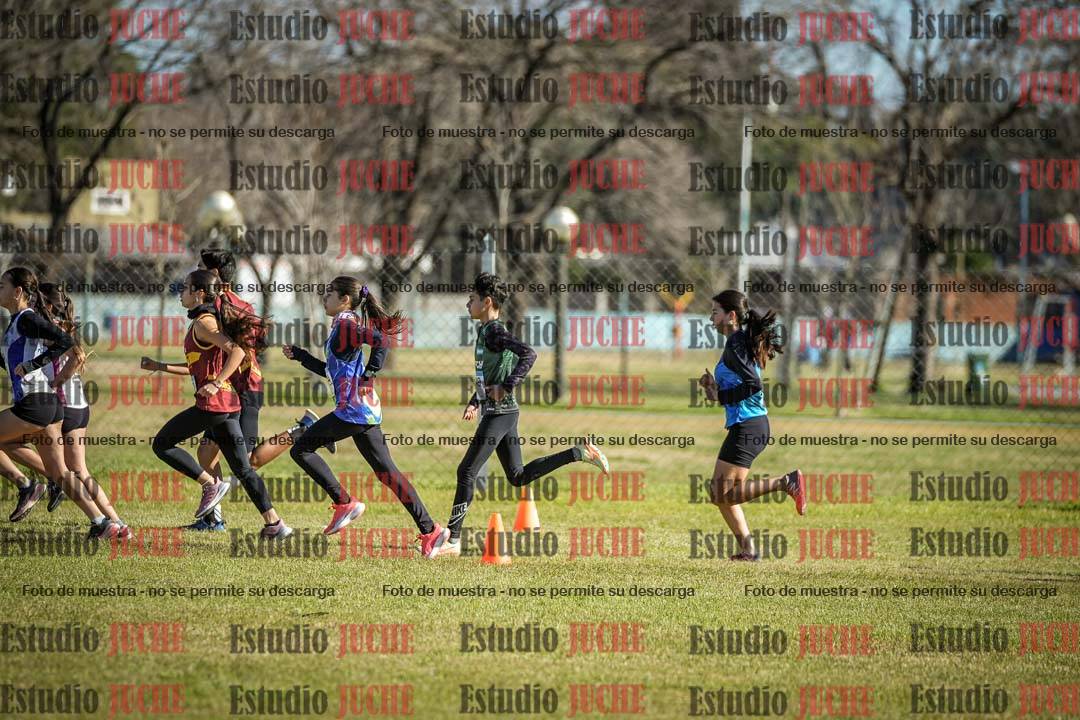 Fotos en de la largada
