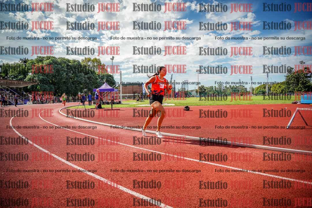 Fotos de los 800 m llanos de mujeres