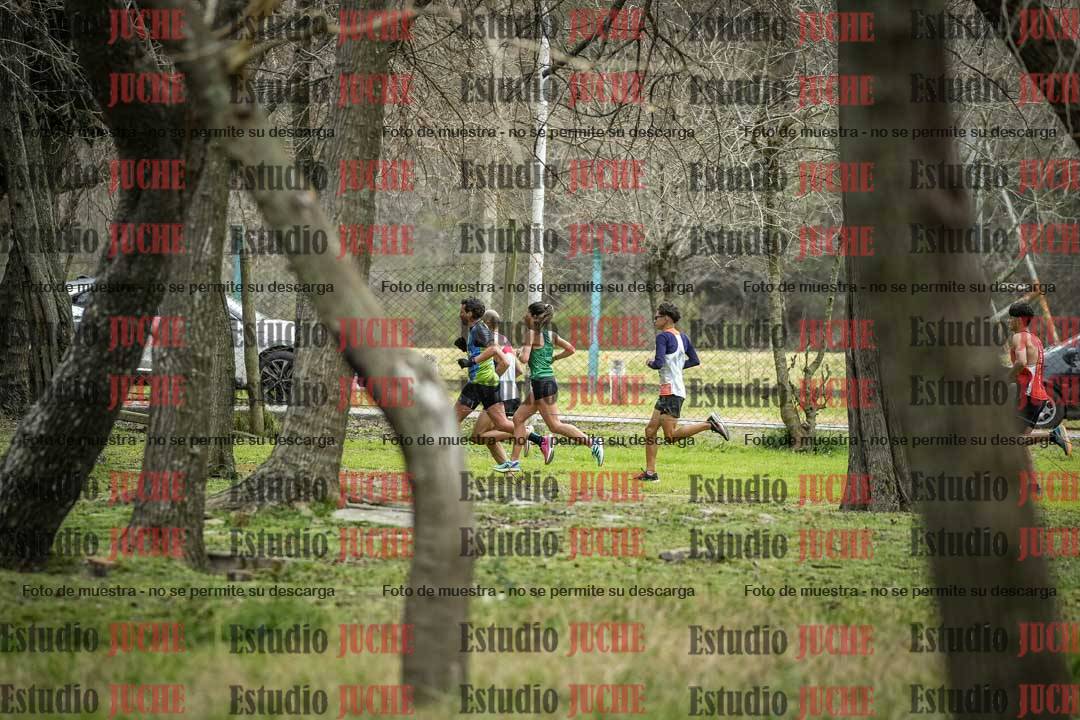 Fotos en el circuito