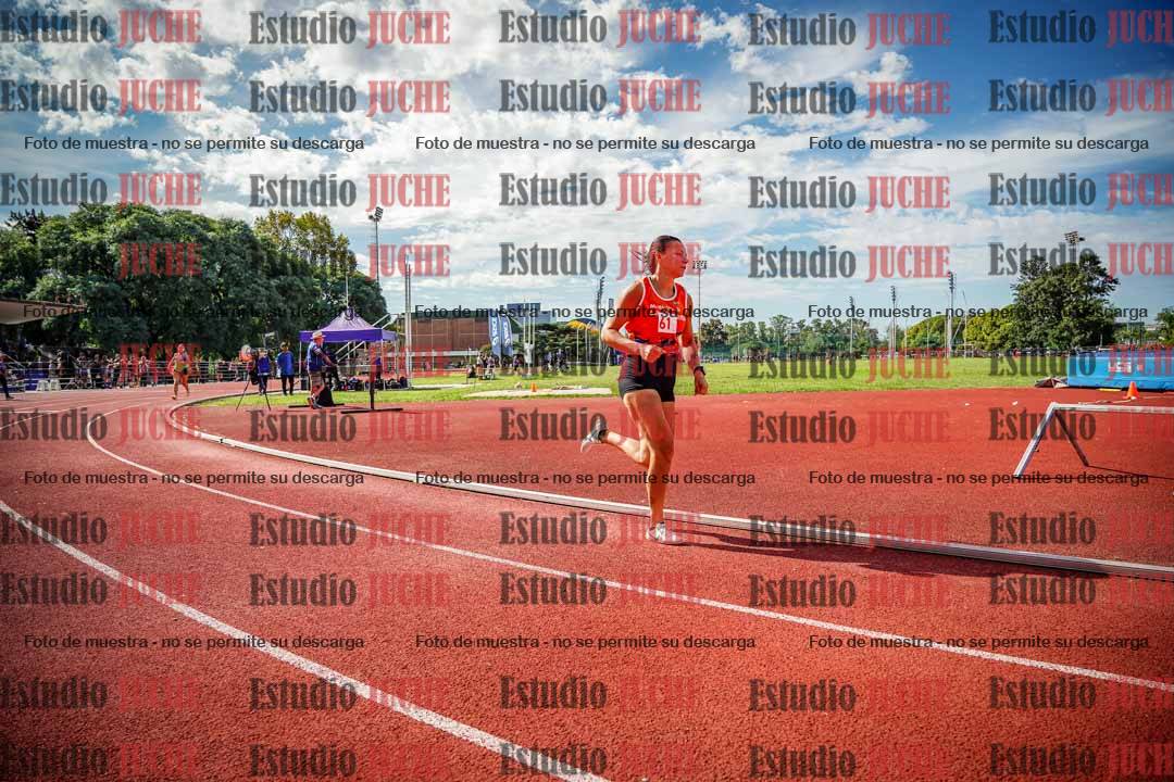 Fotos de los 800 m llanos de mujeres