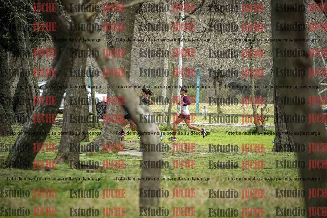 Fotos en el circuito