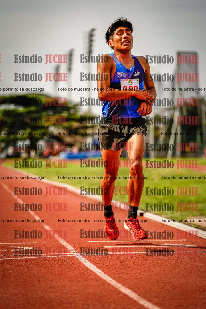 Fotos de los 3000 m llanos de varones