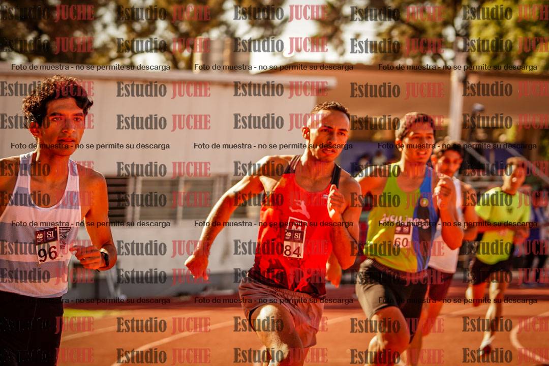 Fotos de los 800 m llanos de varones