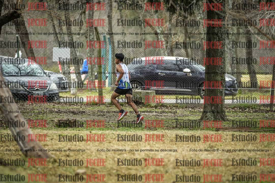 Fotos en el circuito