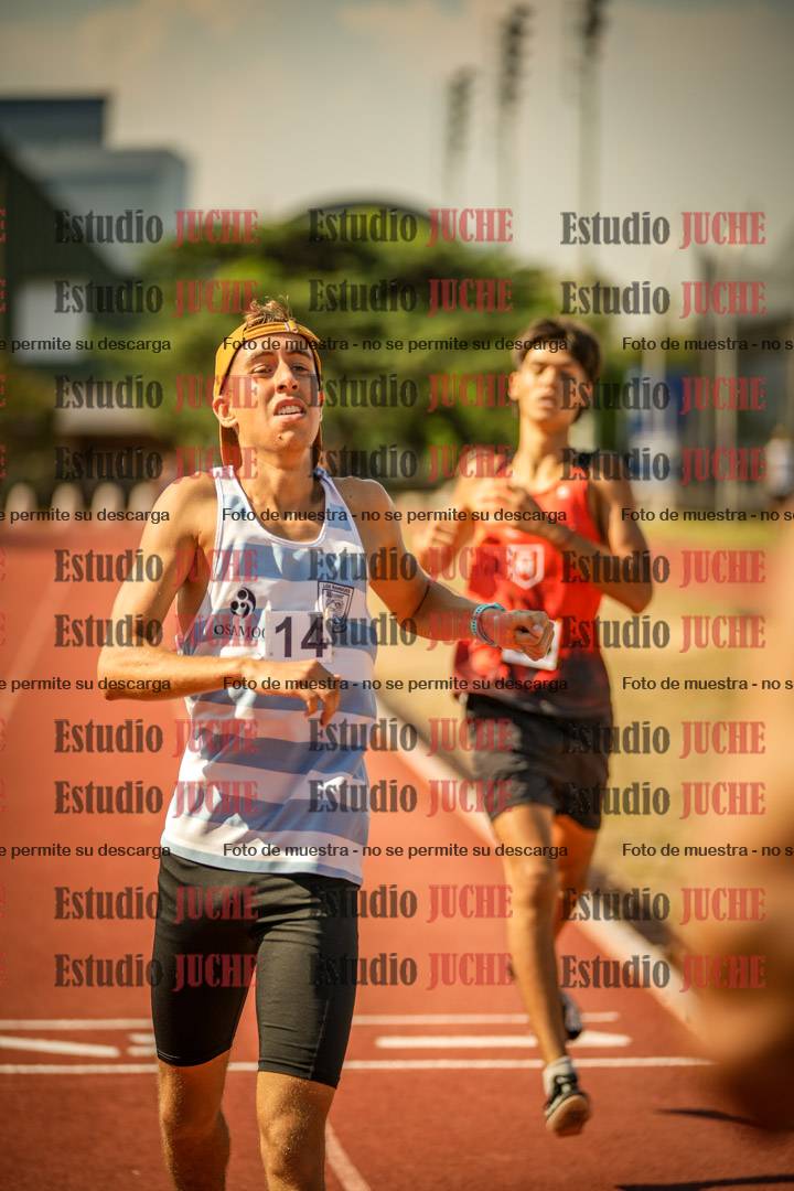 Fotos de los 800 m llanos de varones