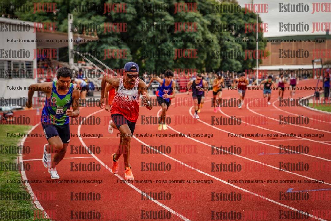 Fotos de los 800 m de varones
