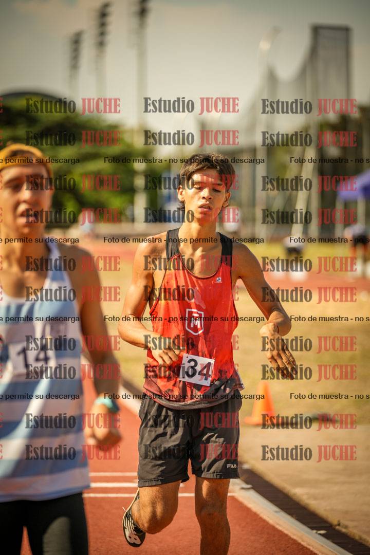 Fotos de los 800 m llanos de varones