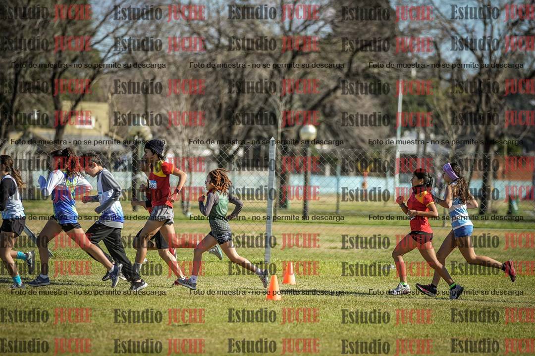 Fotos en de la largada