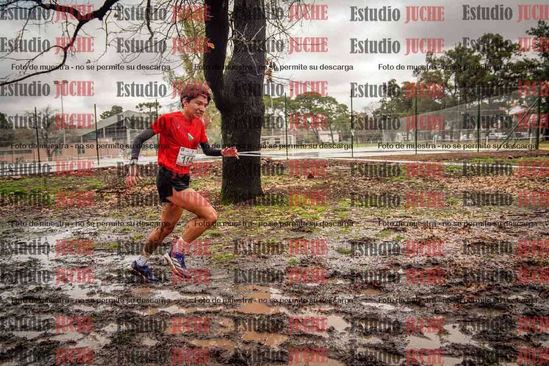 Fotos en el circuito