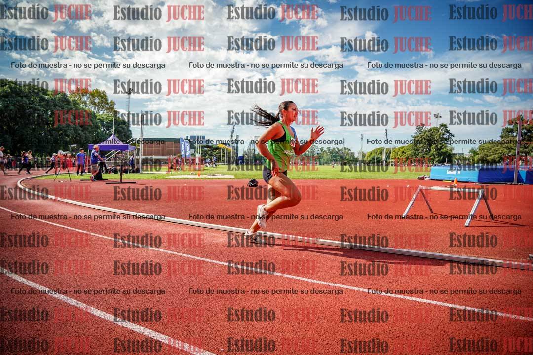 Fotos de los 800 m llanos de mujeres