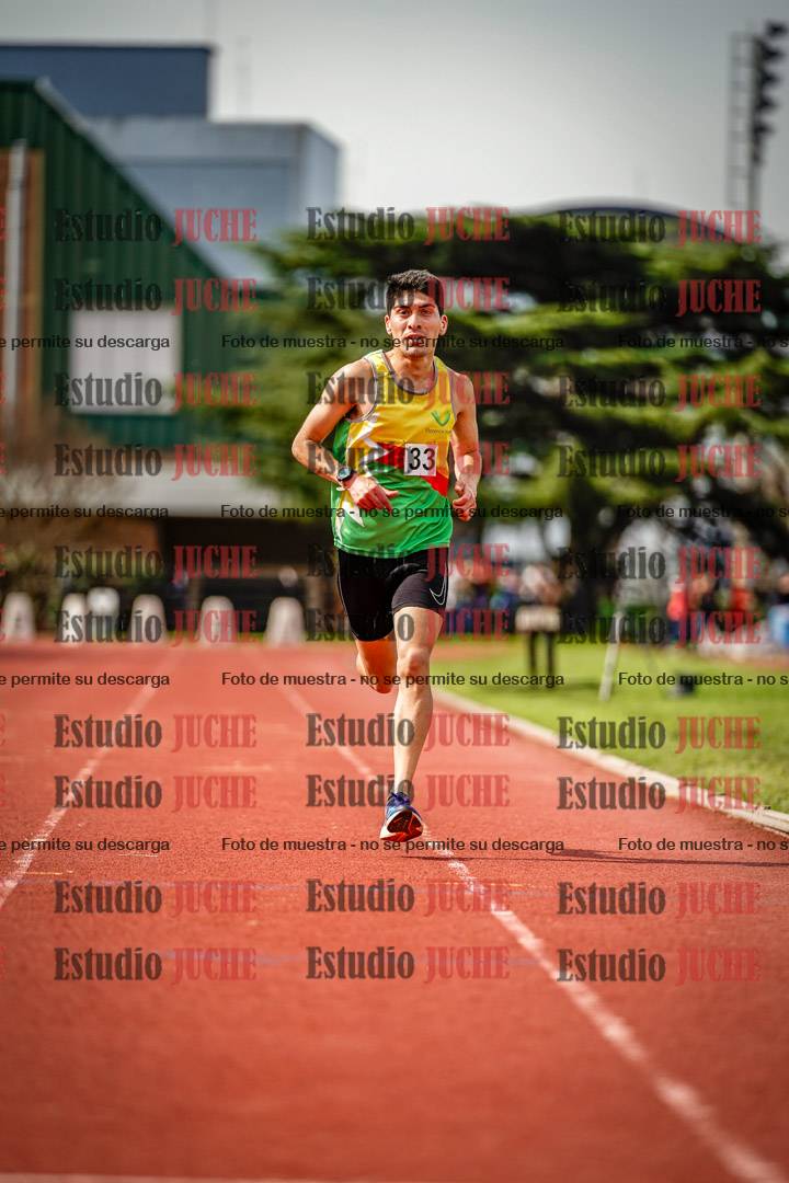 Fotos de los 3000 m llanos de varones