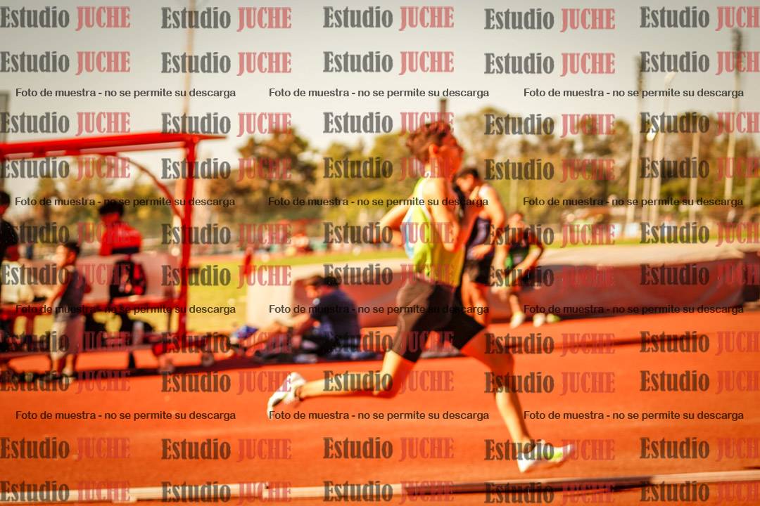Fotos de los 800 m llanos de varones