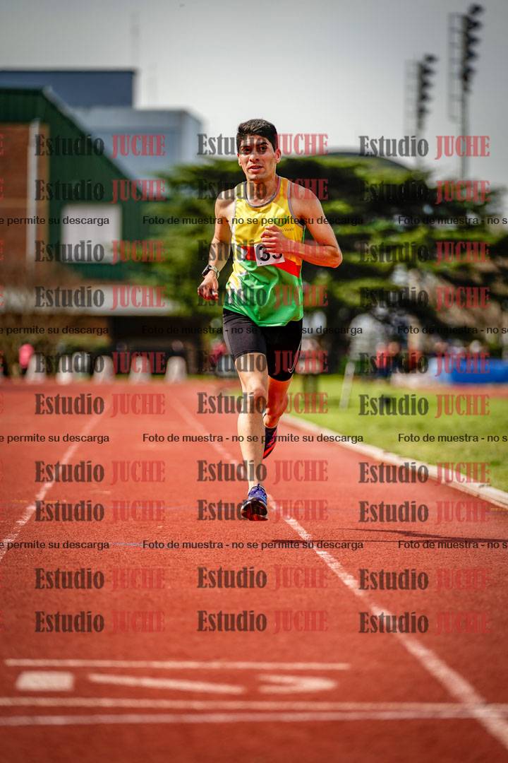 Fotos de los 3000 m llanos de varones