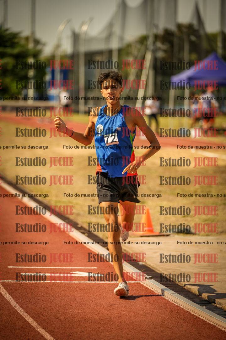 Fotos de los 800 m llanos de varones