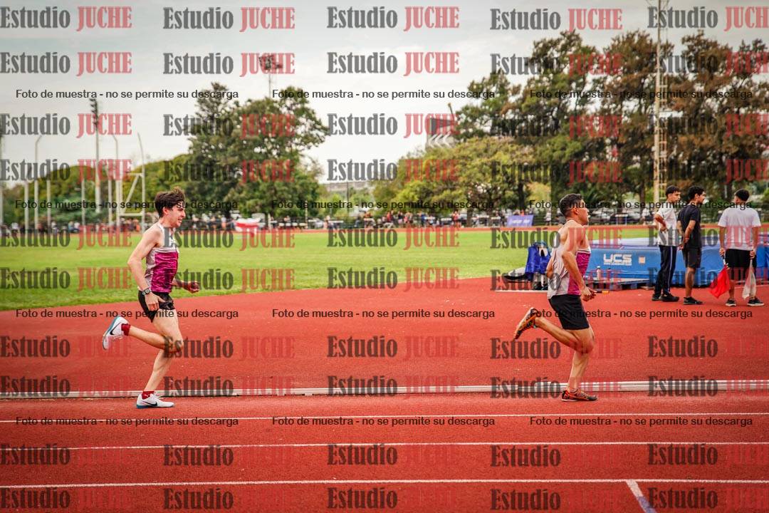 Fotos de los 800 m de varones