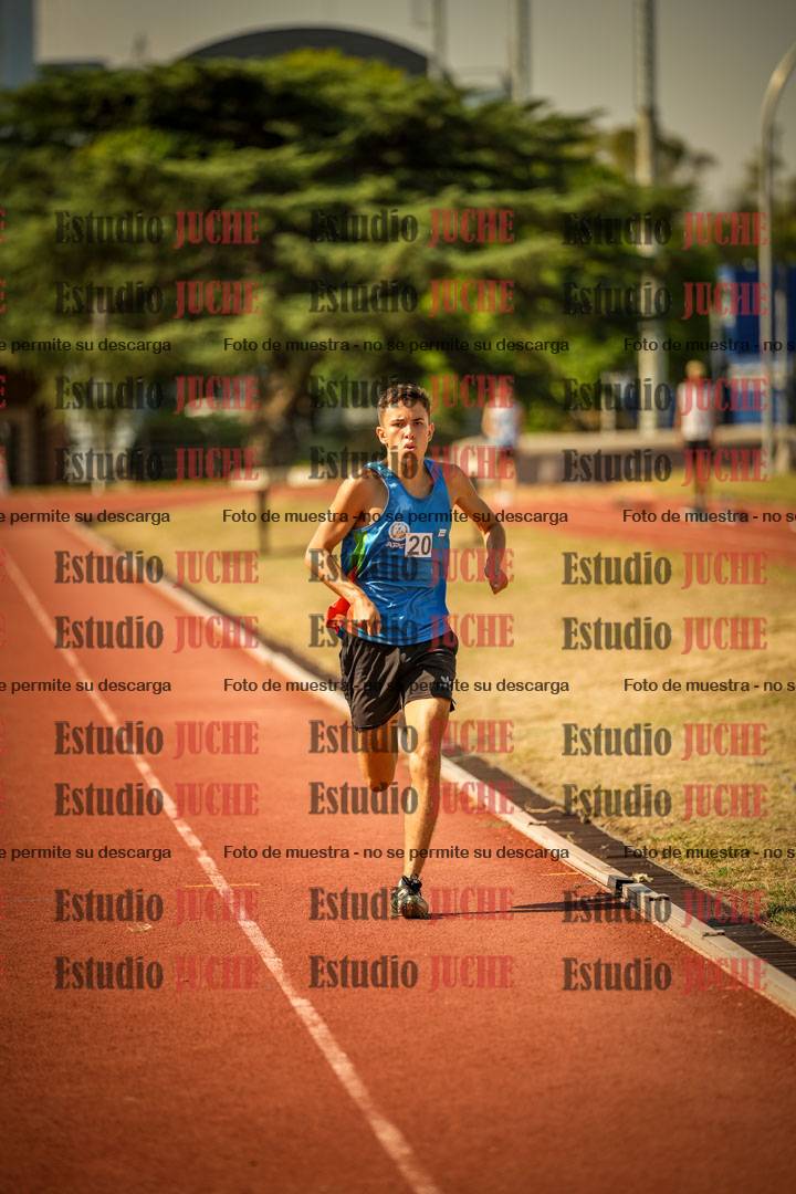 Fotos de los 800 m llanos de varones