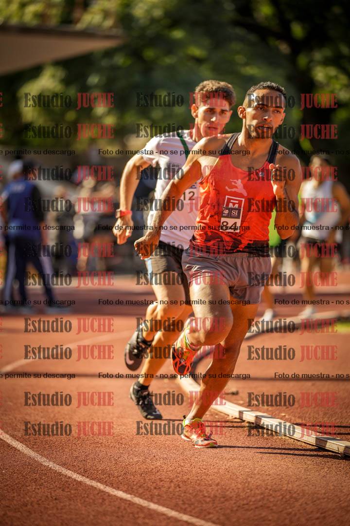 Fotos de los 800 m llanos de varones