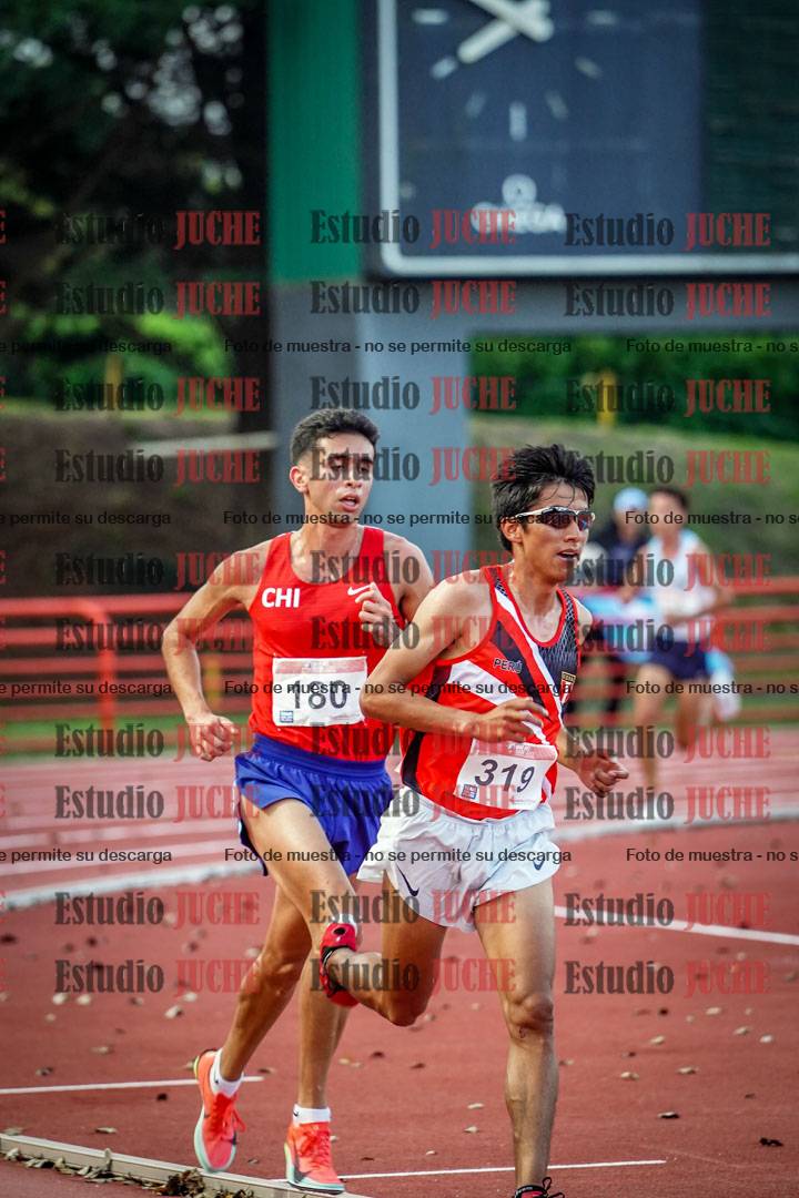 Fotos de los 10.000 m llanos de varones