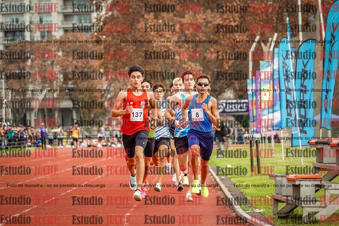 Fotos de los 1500 m llanos de varones