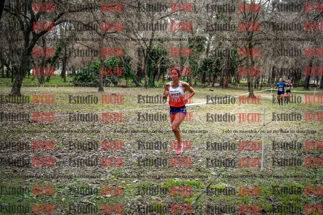 Fotos en el circuito