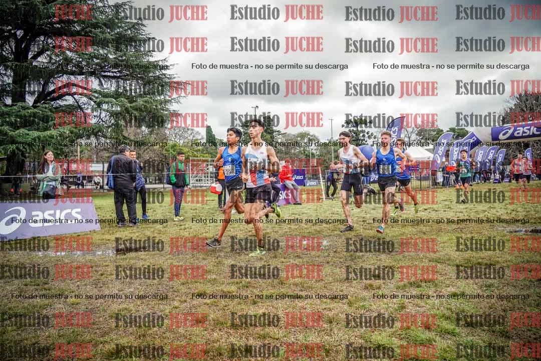Fotos en el circuito