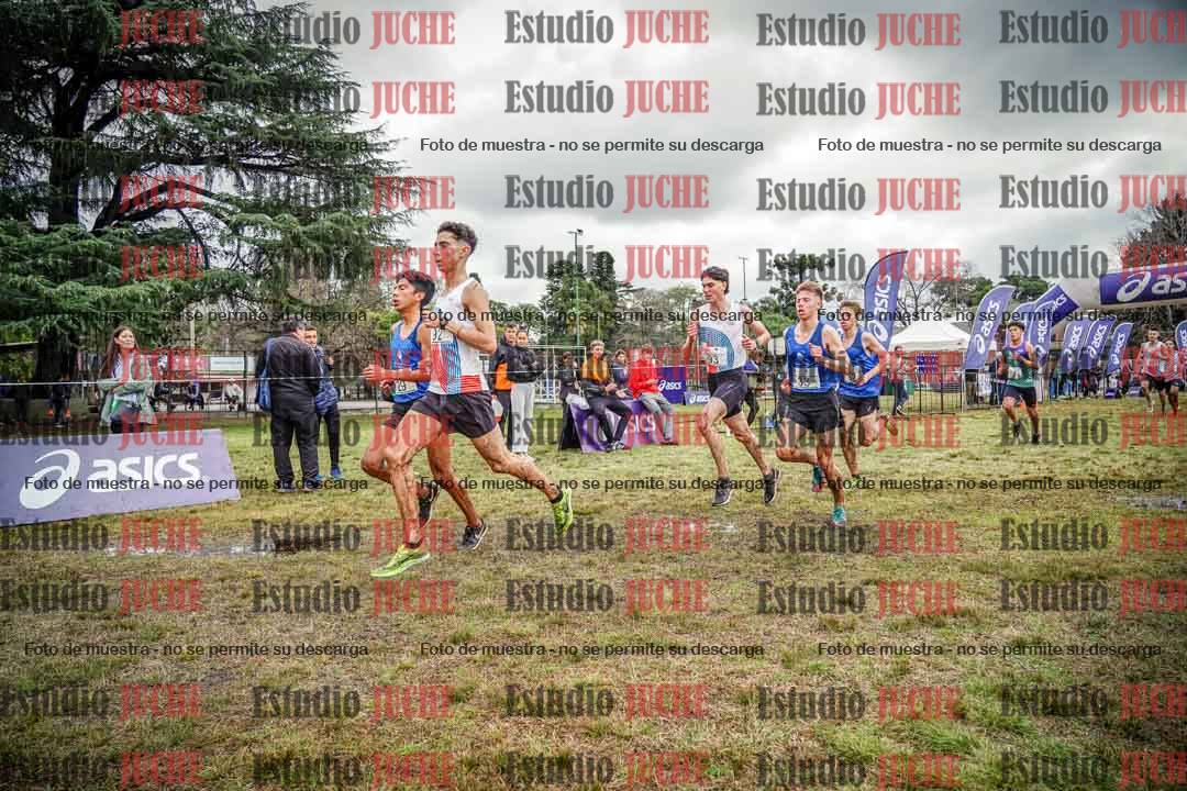 Fotos en el circuito